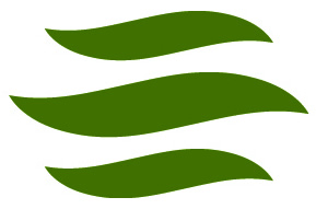 Ensign Logo - Waves.jpg